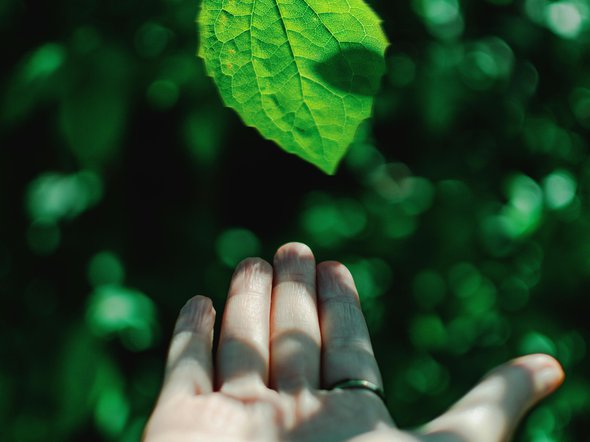 Sustainability Thumbnail5